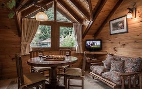 Cabañas y Spa Antuen